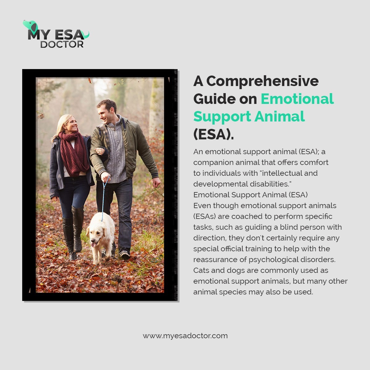 A Comprehensive Guide on Emotional Support Animal (ESA)